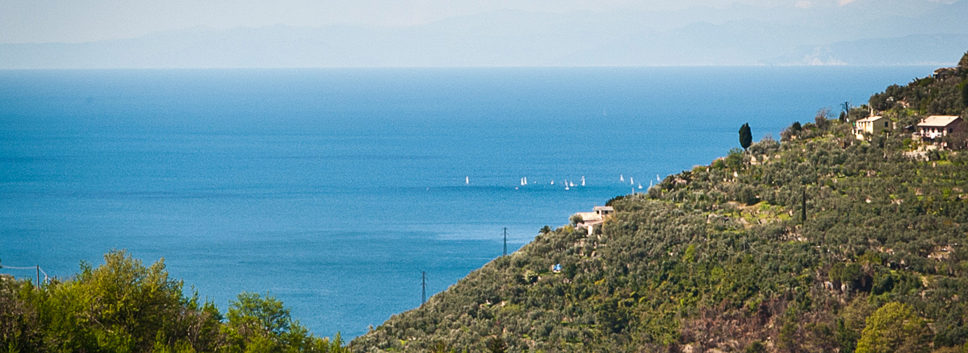 panorama-vele